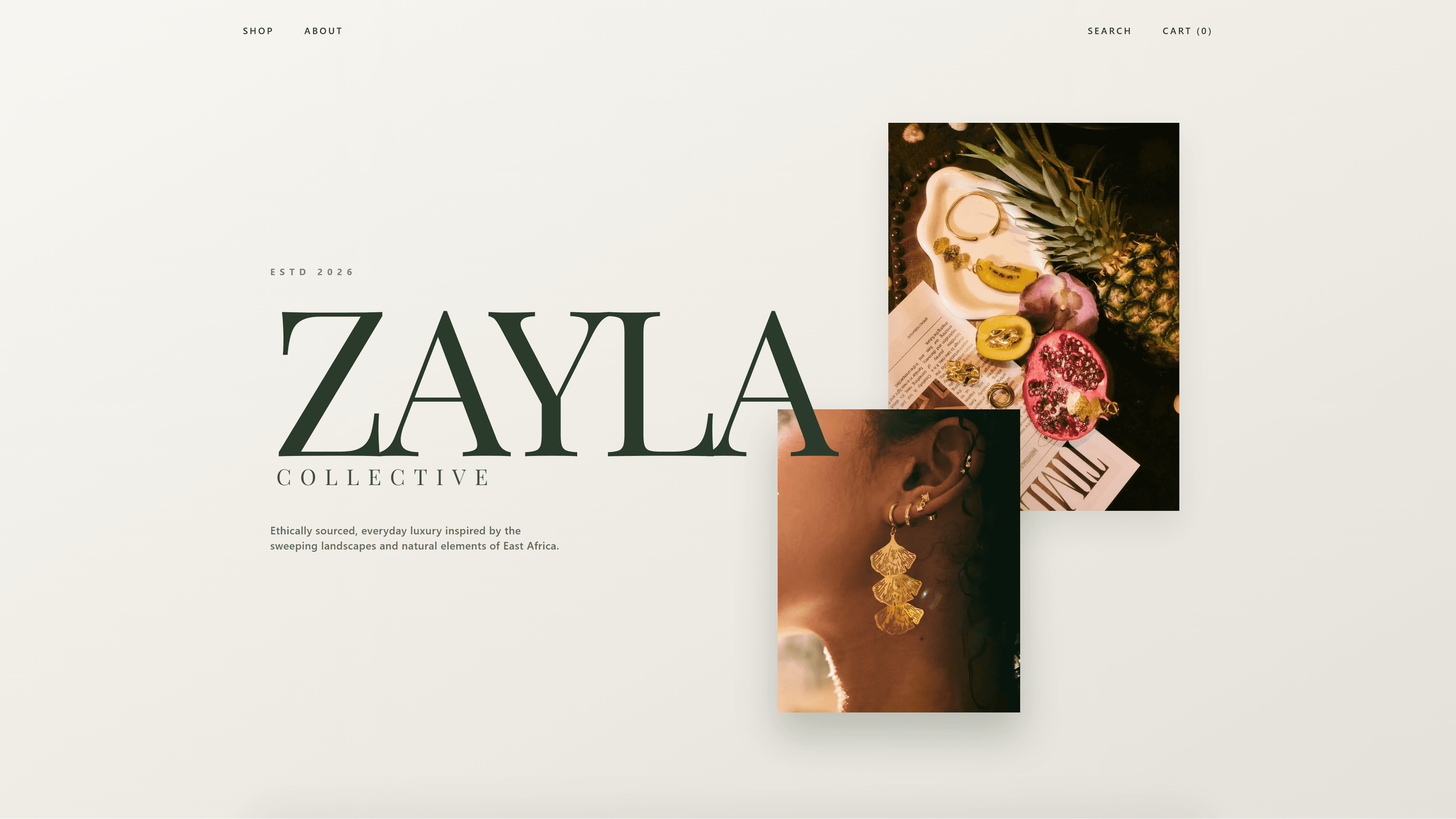 Screenshot of Zayla Collective Website